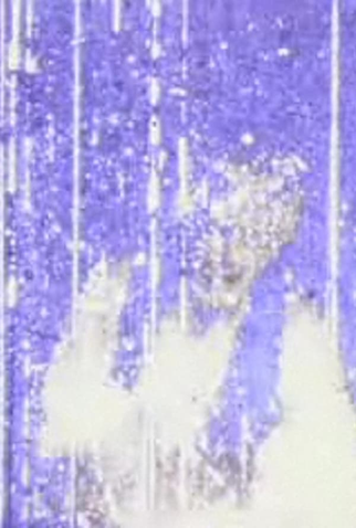 Poster 1 de Curta Schildmeyer Darlaten (1988)