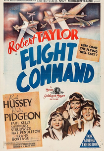 Asas nas Trevas (Flight Command)