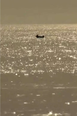 Distance-Landscape: Fishermen in the Same Sea (Paisaje-Distancia: Pescaderos en el mismo mar)