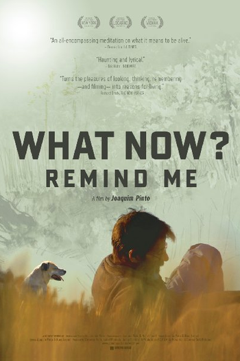  de Filme E Agora? Lembra-me (2013)