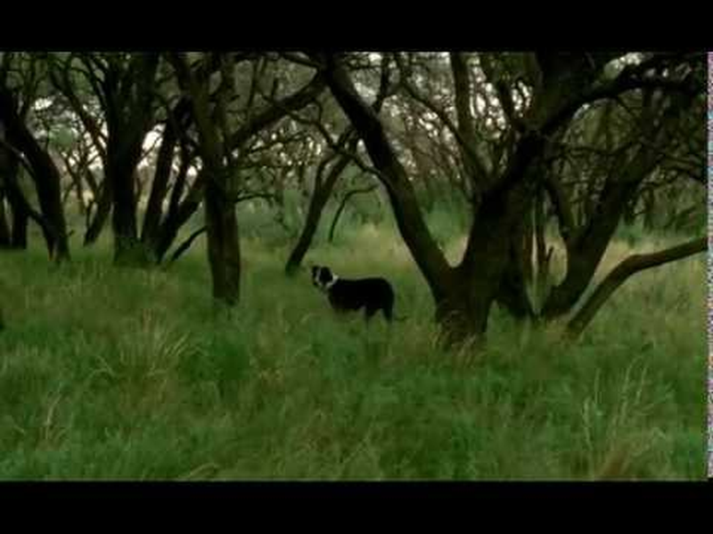 Foto 1 de Sin Título (Carta Para Serra)