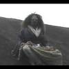 Henrique Bouduard - Foto 4