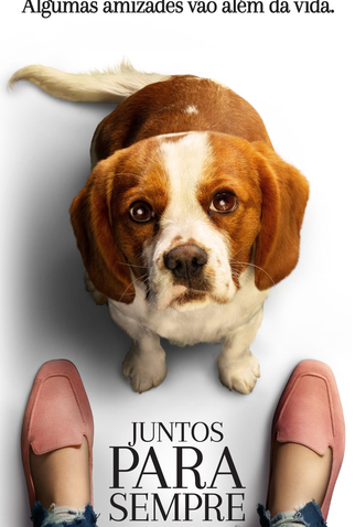 Poster 6 de Filme Juntos Para Sempre (2019)
