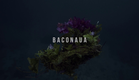 Baconaua - Official Trailer (2017)