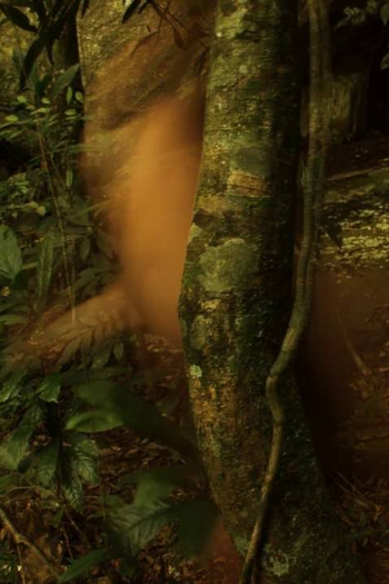 Poster de Curta Noporn: Tanto (2016)