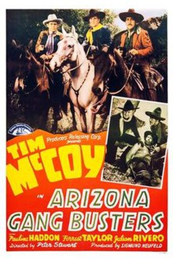 Poster de Filme A Quadrilha do Arizona (1940)