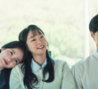 12회