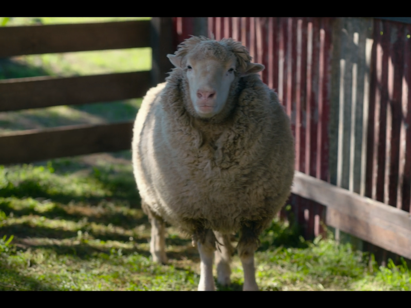 Foto 102 de Combinação Perfeita