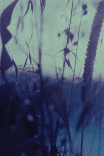 Poster de Curta Bagatelle II (2016)