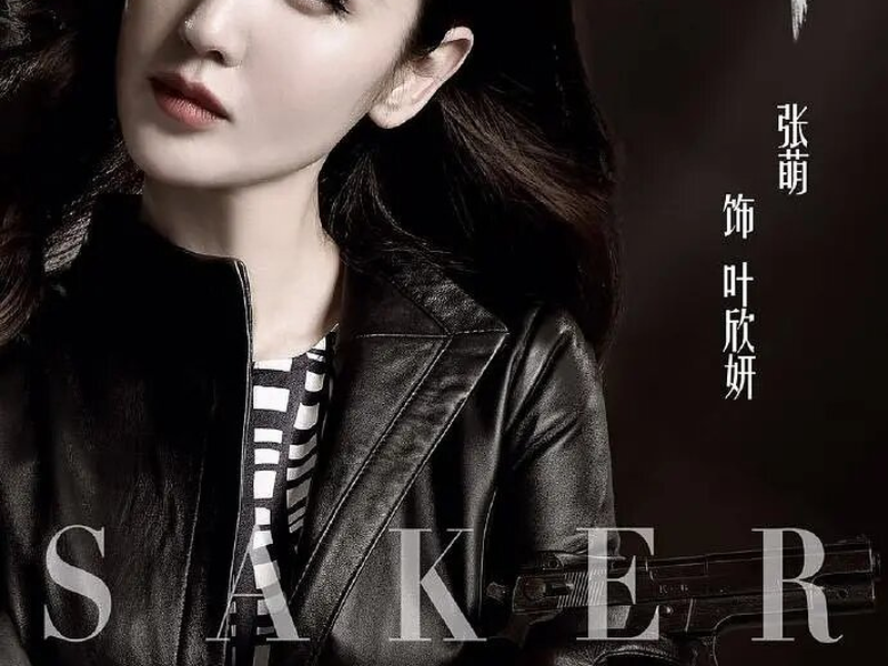 Foto 6 de Saker Falco