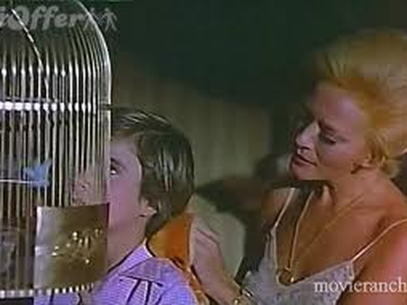 Foto 5 de Las mariposas disecadas 