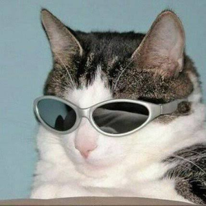 Foto de perfil de Maykxz