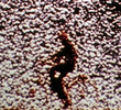Remains to Be Seen