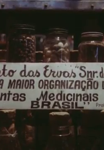 Ponto das Ervas (Ponto das Ervas)