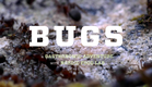 BUGS the film – Will eating insects save our Earth? – official trailer #Tribeca2016