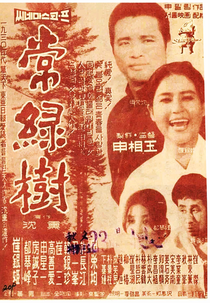 Evergreen Tree (상록수)