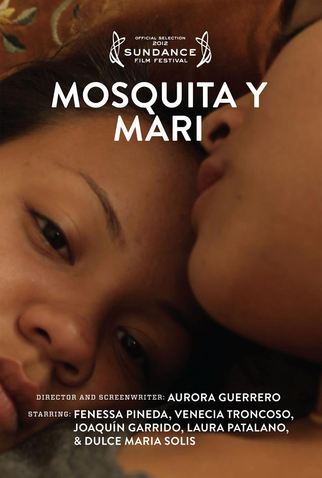 Poster 1 de Filme Mosquita e Mari (2012)
