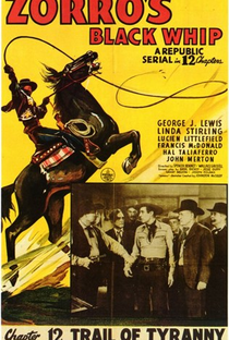 O Chicote do Zorro - Poster / Capa / Cartaz - Oficial 9
