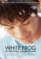 White Frog (White Frog)