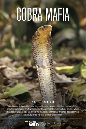 de Série A Máfia das Cobras (2015)