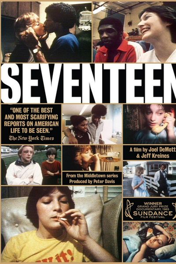 Poster de Filme Seventeen (1983)