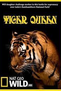 Tiger Queen - Poster / Capa / Cartaz - Oficial 1