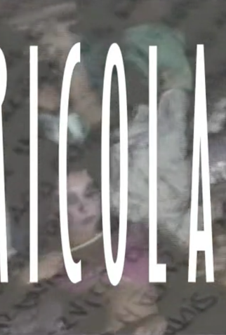 Poster 1 de Curta Bricolage (2008)