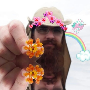 Foto de perfil de Elton Orlandin