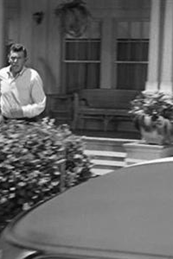 Poster de Episódio Family Visit (1964)