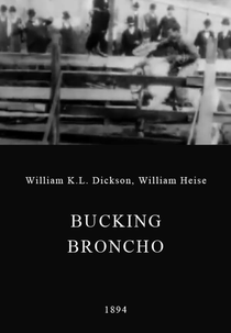 Bucking Broncho (Bucking Broncho)