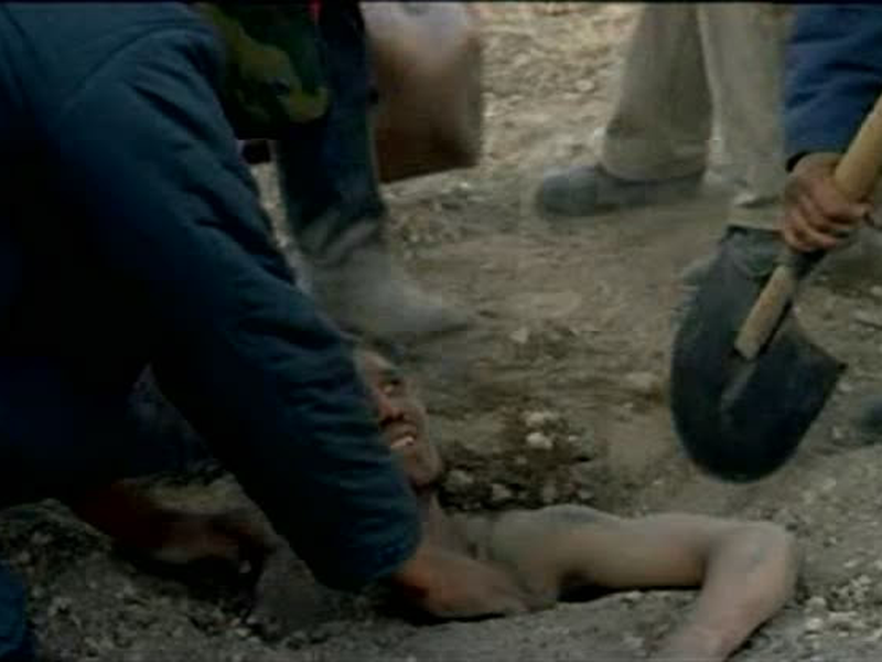 Foto 5 de Dikoe pole    ( Wild Field )