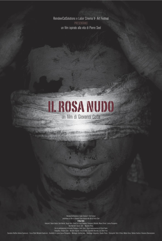Poster 1 de Filme Il rosa nudo (2013)