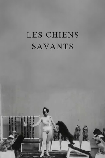 Poster de Curta Les chiens savants (1902)