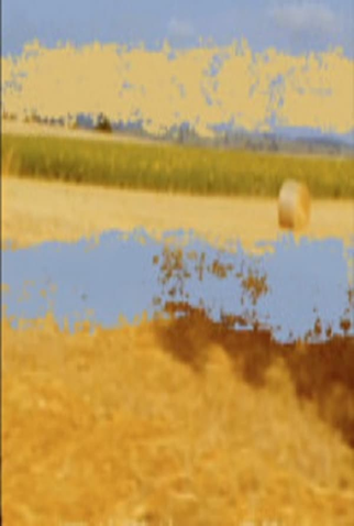 Poster 1 de Curta Morvan (2022)