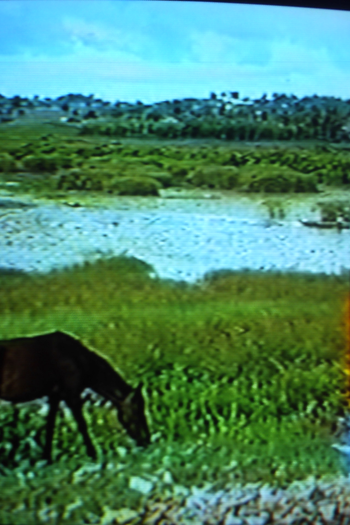 Poster de Curta O Lugar em que um Homem Mora (2003)