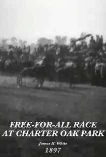Free-for-All Race at Charter Oak Park - Poster / Capa / Cartaz - Oficial 1