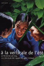 As Luzes de um Verão (Mùa hè chieu thang dung)