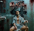 Baaghi 4