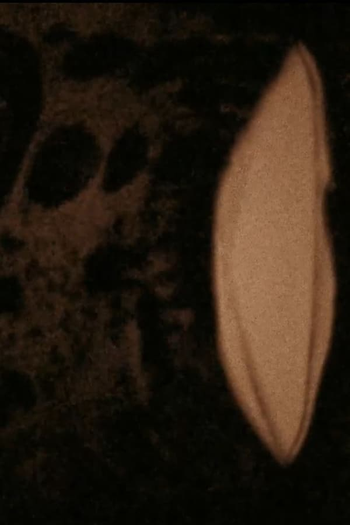 Poster de Curta Mémoires imprimées (2009)