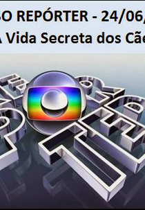 Globo Repórter – A Vida Secreta dos Cães (Globo Repórter: A Vida Secreta dos Cães)