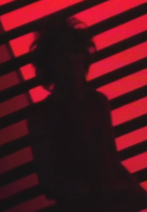 Siouxsie and the Banshees: Red Light (Siouxsie and the Banshees: Red Light)