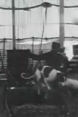 Leaping Dogs at Gentry's Circus (Leaping Dogs at Gentry's Circus)