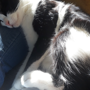 Foto de perfil de Daiana