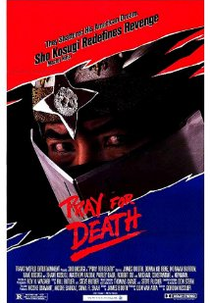 A Sombra de um Ninja (Pray for Death)
