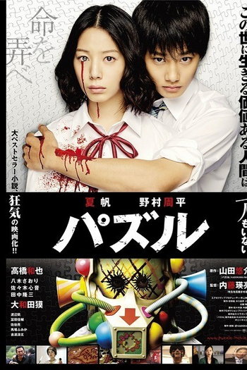  de Filme Puzzle (2014)