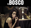 Il bosco