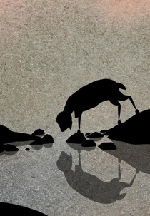 Lost Sheep (Lost Sheep)