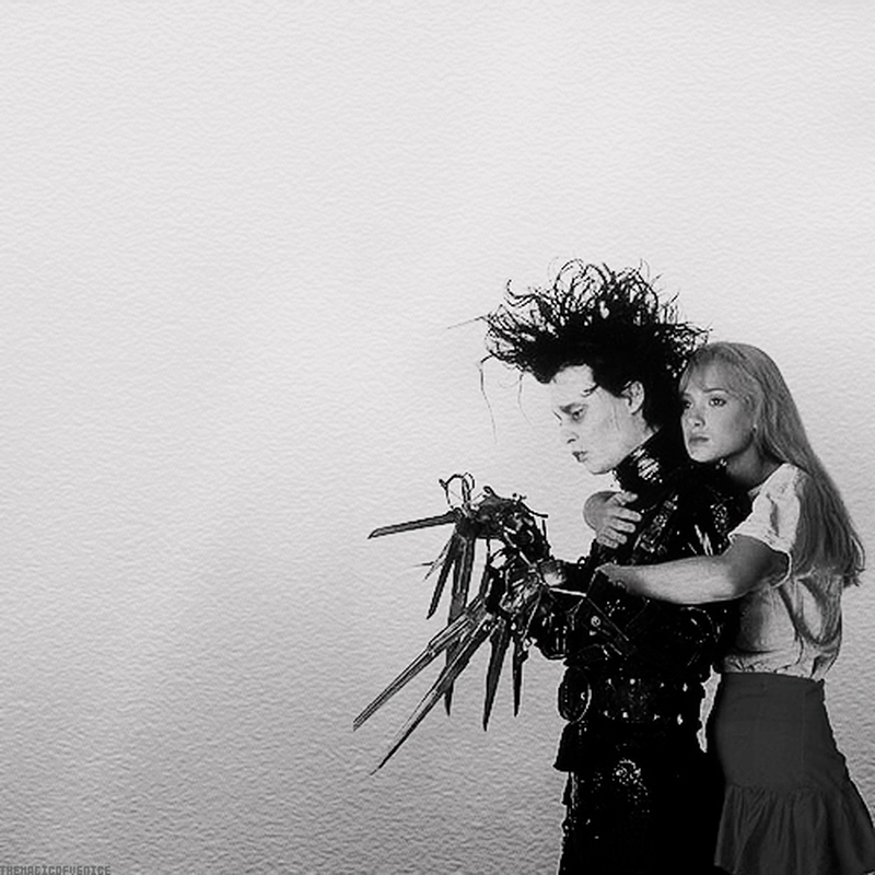 ana pousas - Foto 6