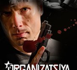 Organizatsiya