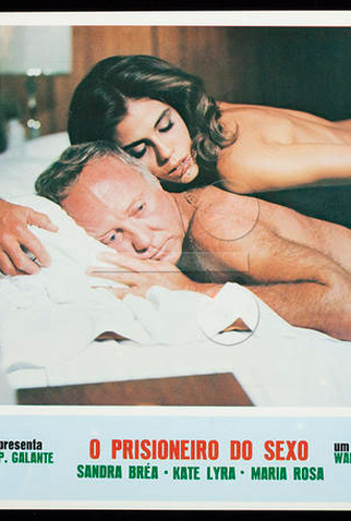Poster 2 de Filme O Prisioneiro do Sexo (1979)